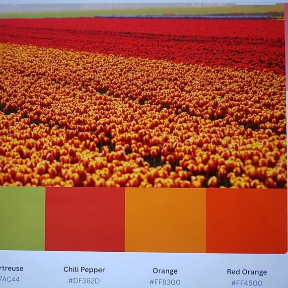 Authentic Louis Vuitton Sarah Wallet in Epi Leather Colour: Poppy Petal - Picture 10 of 10